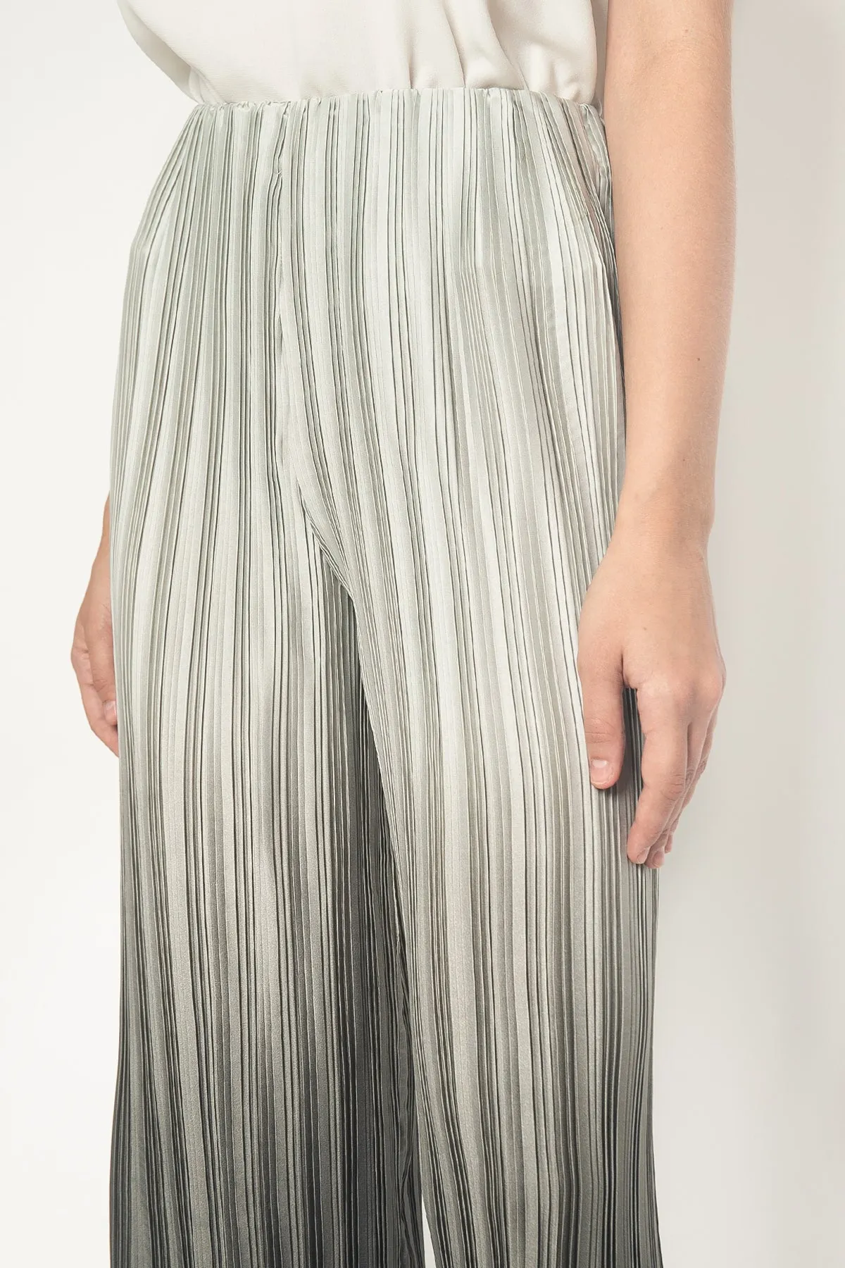 Pleated Pants in Grey